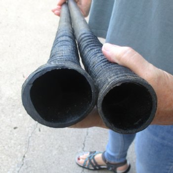 2 Piece Lot of 34-3/4 & 33 Inch Authentic African Gemsbok, Oryx horns available for purchase $50/lot