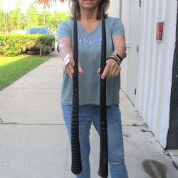 2 Piece Lot of 31-1...