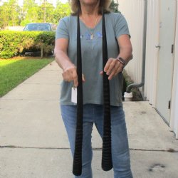 2 Piece Lot of 32-1...