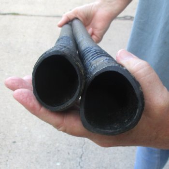 2 Piece Lot of 32-1/4 & 31 Inch Authentic African Gemsbok, Oryx horns available for purchase $43/lot