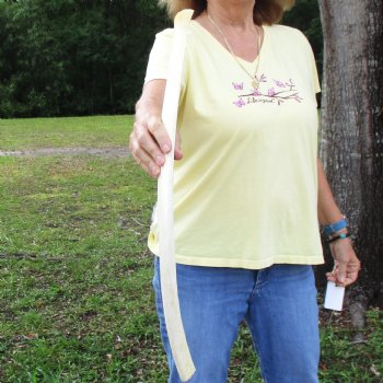 Buy this 26" Giraffe Rib Bone for $50