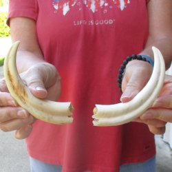 Matching pair of B-...