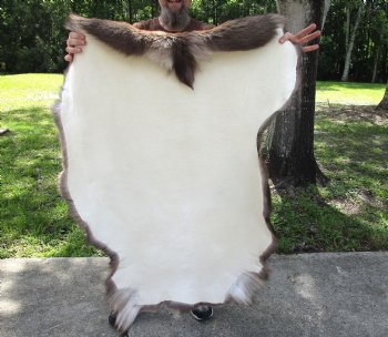 Grade B Reindeer pelt/hide/skin without legs, 45 inches long by 34 inches wide for $95