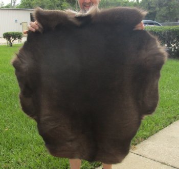 Authentic Nice Quality A Grade Reindeer pelt/hide/skin without legs, 39 inches long by 33 inches wide for $110