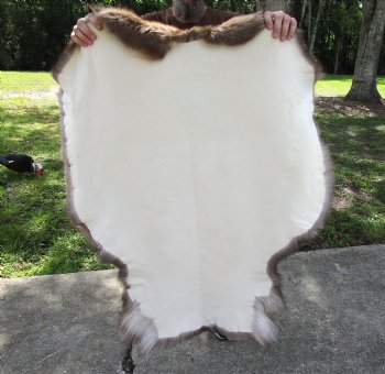 Grade B Reindeer pelt/hide/skin without legs, 44 inches long by 35 inches wide for $95