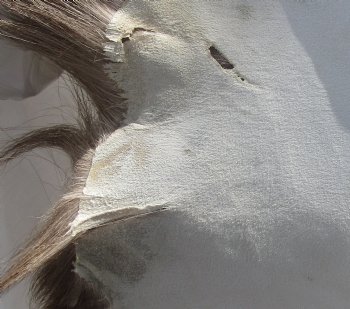 Grade B Reindeer pelt/hide/skin without legs, 47 inches long by 33 inches wide for $95