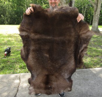 Grade B Reindeer pelt/hide/skin without legs, 46 inches long by 34 inches wide for $95