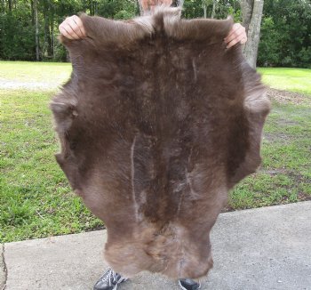 Grade B Reindeer pelt/hide/skin without legs, 45 inches long by 33 inches wide for $95