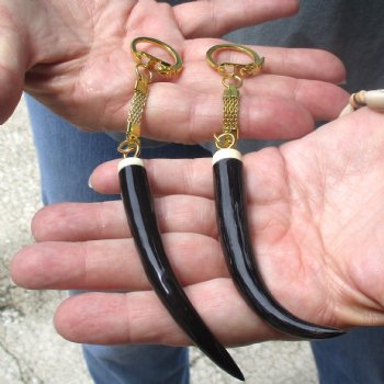 2pc lot of Polished Female Springbok horn key rings 3-1/2 inch for sale $25.00