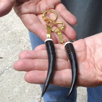 2pc lot of Polished Female Springbok horn key rings 3-1/2 inch for sale $25.00