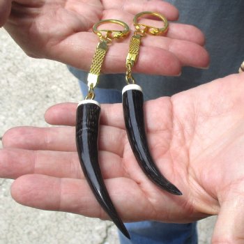 2pc lot of Polished Female Springbok horn key rings 3-1/2 inch for sale $25.00