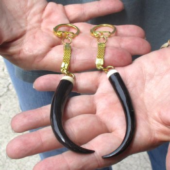 2pc lot of Polished Female Springbok horn key rings 3-1/2 inch for sale $25.00