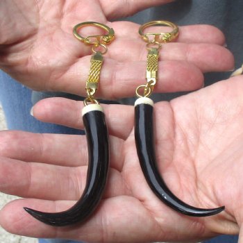 2pc lot of Polished Female Springbok horn key rings 3-1/2 inch for sale $25.00
