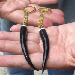 2pc lot of Polished Female Springbok horn key rings 3 inch for sale $25.00