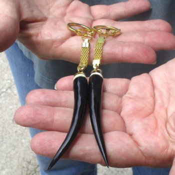 Two piece 3" Polished Female Springbok Horn Key Rings
