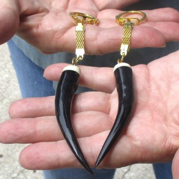 2pc lot of Polished Female Springbok horn key rings 3-1/2 inch for sale $25.00
