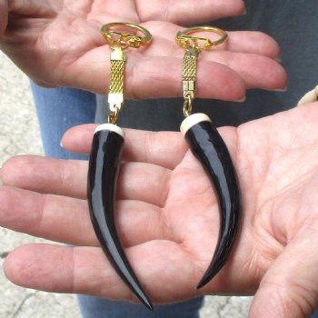 2pc lot of Polished Female Springbok horn key rings 3-1/2 inch for sale $25.00