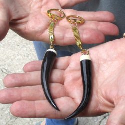 2pc lot of Polished Female Springbok horn key rings 3 inch for sale $25.00