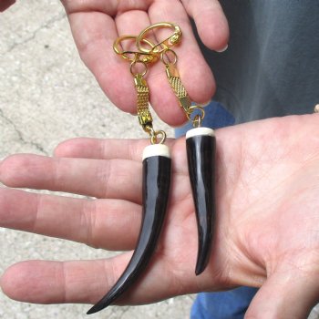 2pc lot of Polished Female Springbok horn key rings 3 inch for sale $25.00