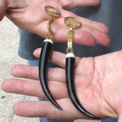 2pc lot of Polished Female Springbok horn key rings 3-1/2 inch for sale $25.00