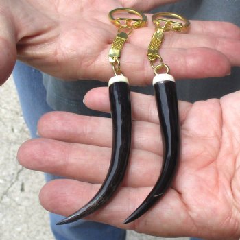 2pc lot of Polished Female Springbok horn key rings 3-1/2 inch for sale $25.00