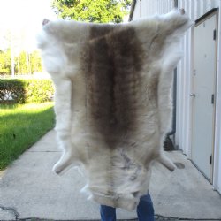 For Sale 53 inches ...