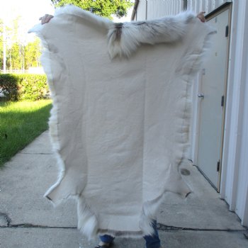 For Sale 53 inches by 44 inches Finland Reindeer Hide, Skin, farm raised - $145