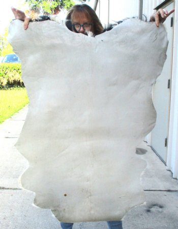 B-Grade Genuine Real Goat Hide for sale -  39x31 inches - $20