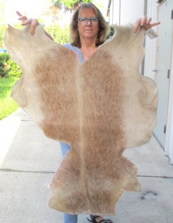 B-Grade Genuine Real Goat Hide for sale -  36x26-1/2 inches - $20