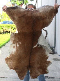 B-Grade Genuine Real Goat Hide for sale -  39x29-1/2 inches - $20
