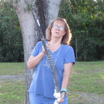 Gemsbok Skull Plate with 37 inch horns for sale $85