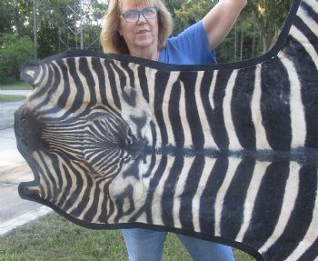102" x 72" C- Grade Zebra Skin Rug with felt backing, available for purchase - $825 (Adult Signature Required) 