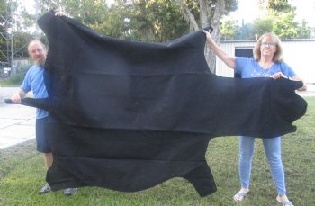 102" x 72" C- Grade Zebra Skin Rug with felt backing, available for purchase - $825 (Adult Signature Required) 