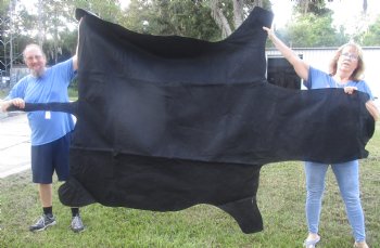 97" x 65" C- Grade Zebra Skin Rug with felt backing, available for purchase - $825 (Adult Signature Required) 