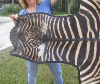 100" x 70" C- Grade Zebra Skin Rug with felt backing, available for purchase - $825 (Adult Signature Required)