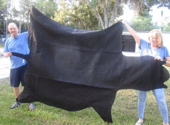 100" x 70" C- Grade Zebra Skin Rug with felt backing, available for purchase - $825 (Adult Signature Required)