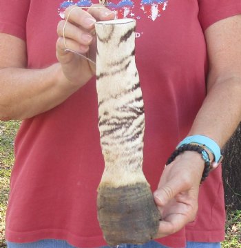 Authentic 10" Zebra Foot Mount for sale - $59