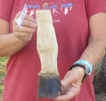 9" Zebra Foot Mount, available for sale - $35