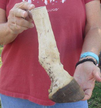 10" Zebra Foot Mount, available for sale - $35