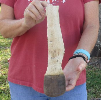 10" Zebra Foot Mount, available for sale - $35