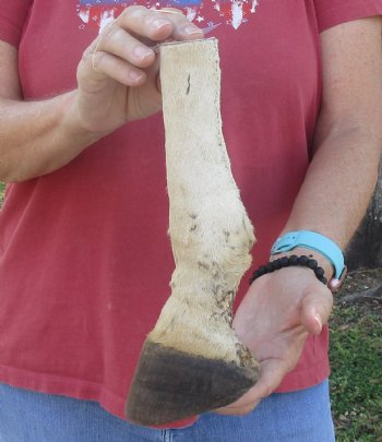 10" Zebra Foot Mount, available for sale - $35