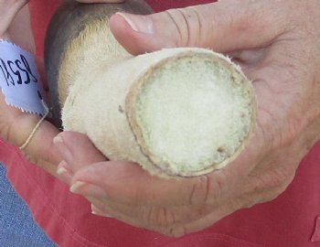 10" Zebra Foot Mount, available for sale - $35