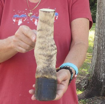 9" Zebra Foot Mount, buy now for - $59