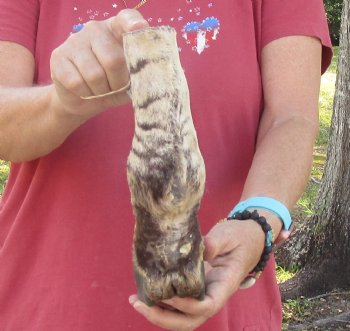 9" Zebra Foot Mount, buy now for - $59