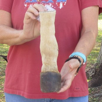 10" Zebra Foot Mount, available for sale - $35