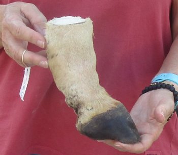 7" Zebra Foot Mount, available for sale - $35