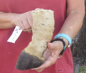 7" Zebra Foot Mount, available for sale - $35