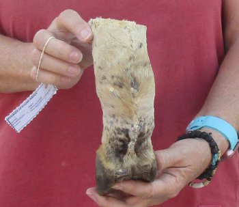 7" Zebra Foot Mount, available for sale - $35