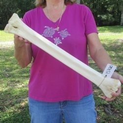 23 inch giraffe met...