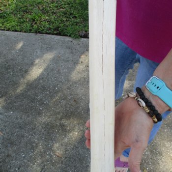 Buy Now 21" Giraffe Metatarsal Leg Bone - $105